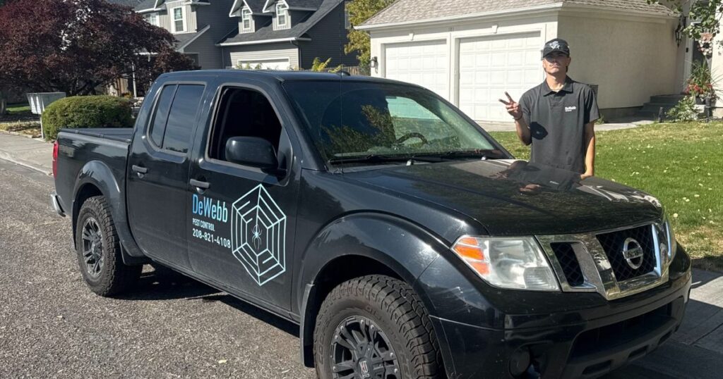 About DeWebb Pest Control