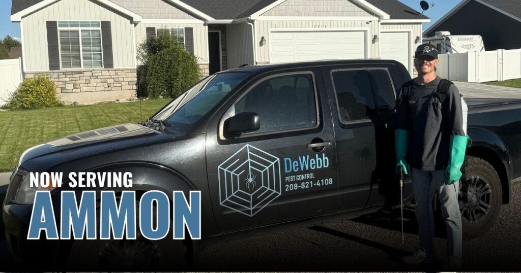 Pest Control in Ammon, ID