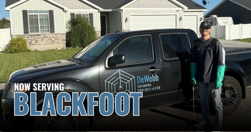 Pest Control in Blackfoot, ID