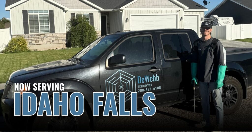 Pest Control in Idaho Falls, ID
