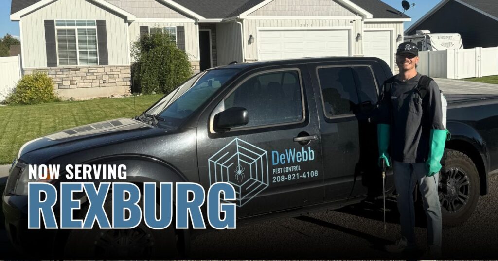 Pest Control in Rexburg, ID