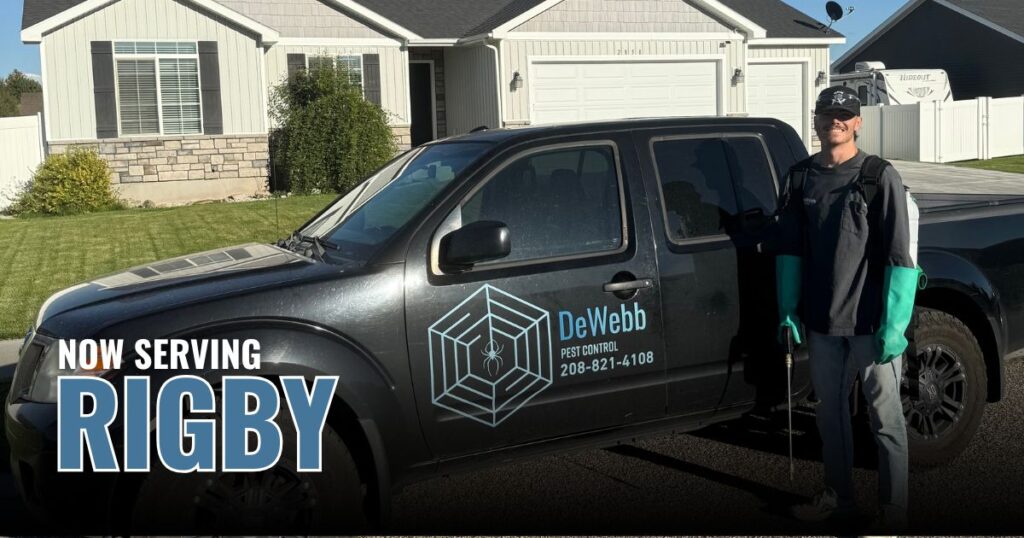 Pest Control in Rigby, ID