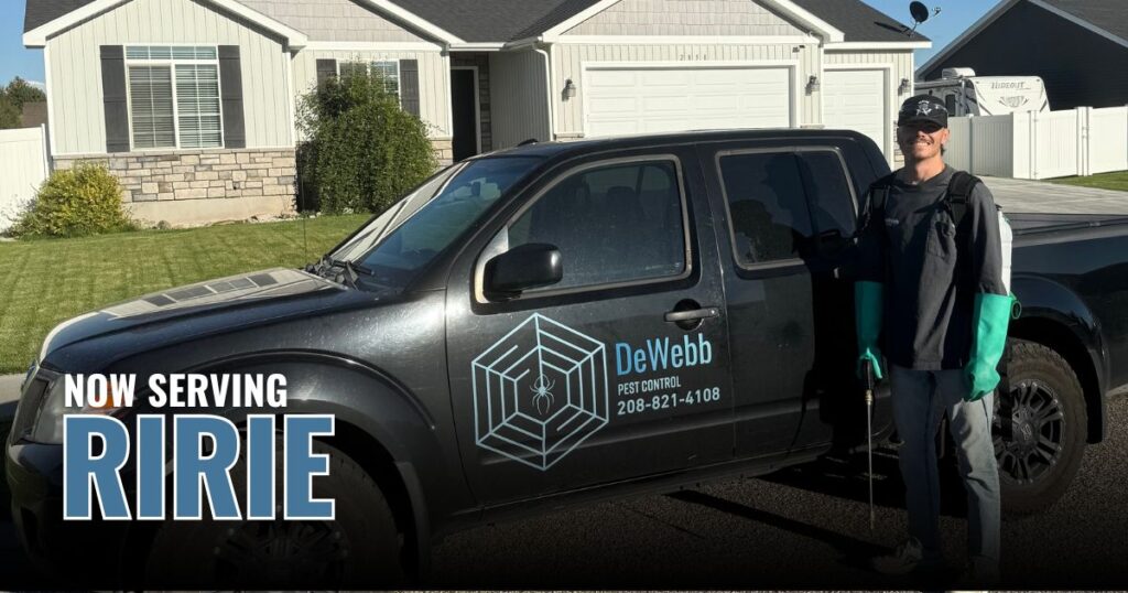 Pest Control in Ririe, ID