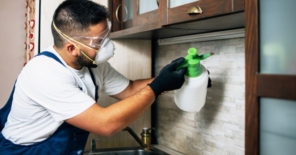 Professional beetle pest control service for Southeast Idaho homes.