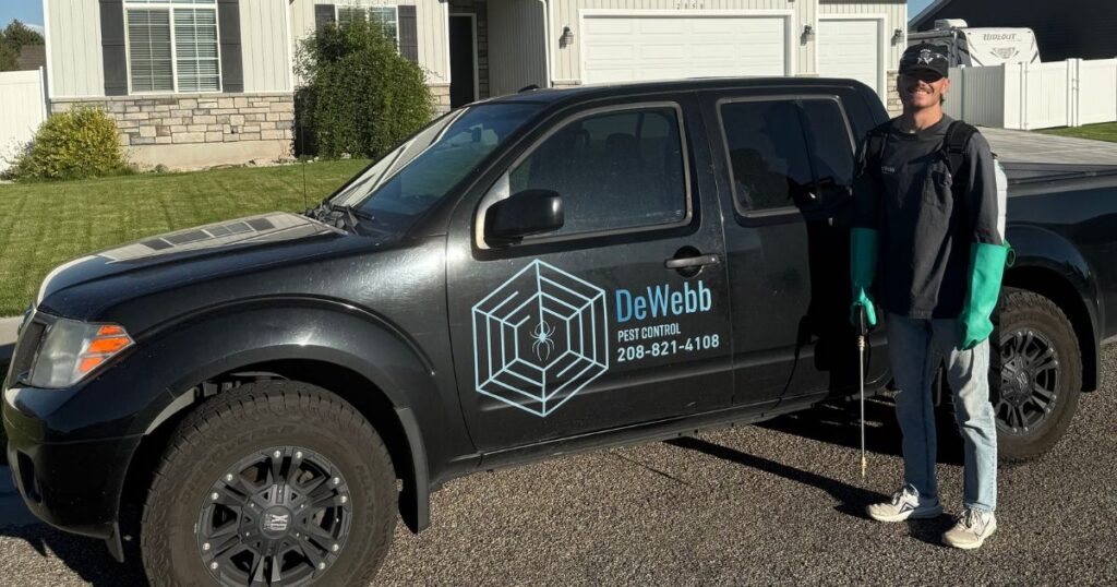 hire local pest control experts