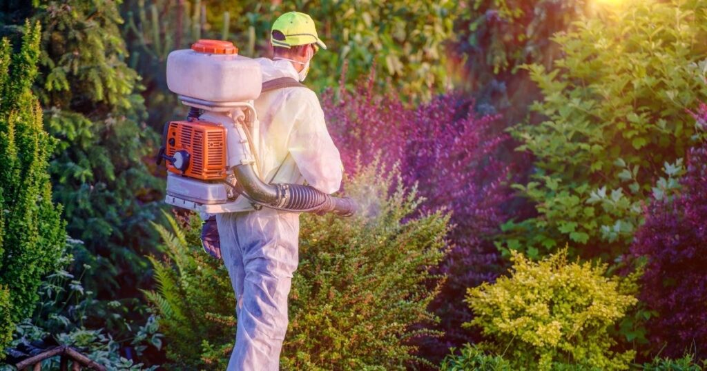 how long pest control treatments last