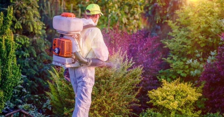 how long pest control treatments last