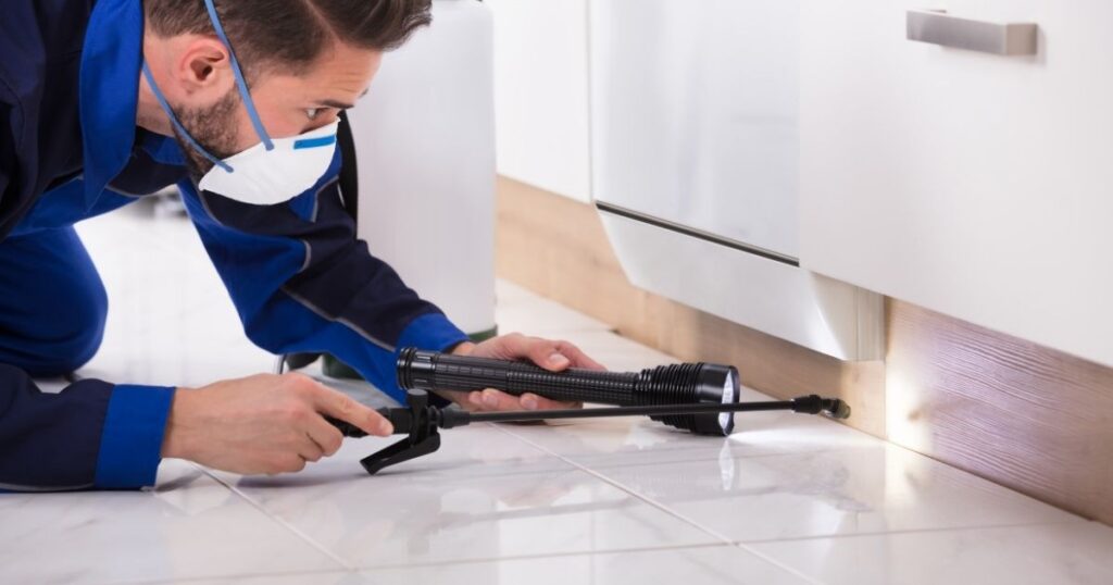 pet safe pest control Idaho